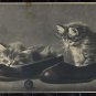 Vintage Soviet Postcard, Cute Kittens, Russian post card 1956