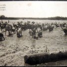 Vintage Japan Postcard, Herd of Deer, post card 1900's