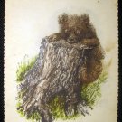 Vintage Russian Postcard, Curious Little Bear, Soviet post card 1955