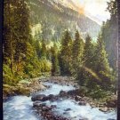Vintage Switzerland Postcard, Pont de Nant sur/Bex, L' Avençon et le lion d/Argentine 1908