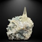 24 Gram Beautiful Dog tooth Clear Calcite Cluster on Matrix From Pakistan