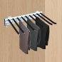 Left_Pull Out Trouser Hanger Pants Rack Closet Wardrobe Left-mounted Stainless Steel