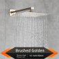 Brushed 8 Inch_Rozin Brushed Golden Rainfall Shower Head Bathroom 8/10/12" Ultrathin Style Top Showe