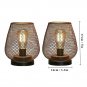 2Pcs B_2Pcs Metal Cage Table Lamp Round Shaped LED Lantern Battery Powered Cordless Lamp for Wedding