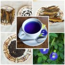Clitoria Ternatea - Blue Butterfly Pea Vine100% new Organic 20 seeds.