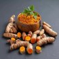 5+ fresh turmeric root plant (curcuma Longa) Live rhizomes for Ready to plant