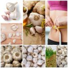 Garlic Seeds Garlic Hard Neck Heirloom Organic Bulbs Home Garden Ceylon (40g)