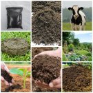 Organic Cow Dung Manure Powder Compost Manure Fertilizer For Plant Growth(100g)