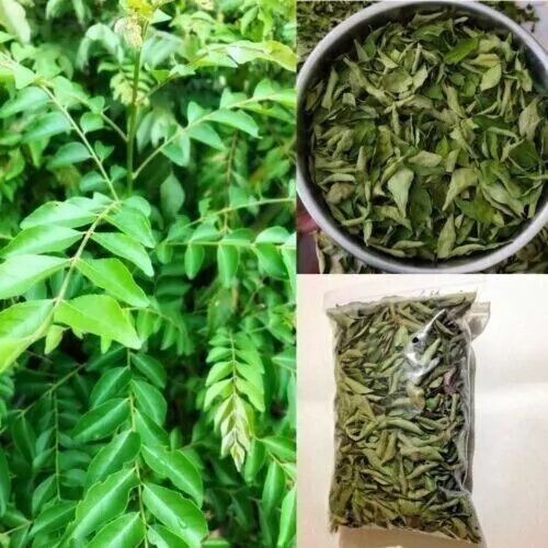 Dried curry leaves Powder | Karapincha leaves 100% Original Product (100 leaves)