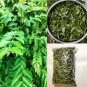Dried curry leaves Powder | Karapincha leaves 100% Original Product (100 leaves)