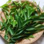 Dried curry leaves Powder | Karapincha leaves 100% Original Product (100 leaves)