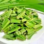 Half Dried Pandan Leaves Sri Lanken Rampe Leaves Spice Natural Pure / 100g