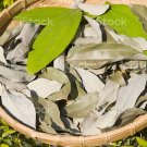 Ceylon Dried Cinnamon leaves Pure Natural Organic Leaf 100% Quality (50g)
