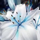50 Seeds Blue Heart Lily Plant Seeds Heirloom Lilium Lily Flower Fragrant Perennial Flower Cheap Opt