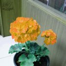 SIXTEENHOKI Geranium Golden Dense Ball-shaped Big Blooms Bonsai Flowers, 10 Seeds, Heirloom Garden P SIXTEENHOKI Geranium Golden Dense Ball-shaped Big Blooms Bonsai Flowers, 10 Seeds, Heirloom Garden P