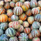 Rare Kajari Sweet  Melon Fruit, 10 Seeds, 13% sugar contained melon colorful skin fruit TS237T for G