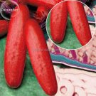 Hmong Red Cucumber Cucumis sativus, 20 Seeds, edible organic vegetables E3682 for Garden and Plantin