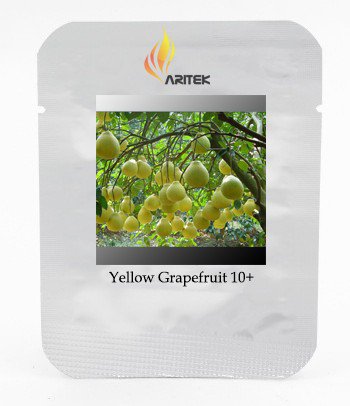 Heirloom Sweet Yellow Grapefruit Citrus maxima Fruit Seeds, Professional Pack, 10 Seeds / Pack, Tast