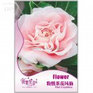 Pink Camellia Impatiens Seeds, Original Pack, 25 seeds, high ornamental value flower seeds IWSD204 f