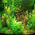 Aquarium Grass Seeds Water Aquatic Plant Seeds (Mix Included 15 Kinds) 1000PCS/packItem NO.: DL361C