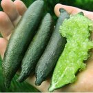 20 Pcs Novel Finger Limes Citrus Pomegranate Bonsai Delicious Sweet Fruit Bonsai for Home Garden Pla