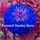 Mixed Zinnia Bonsai Pretty Pastel Colors Perennial Bonsai for Home Garden Charming Chinese Flowers P