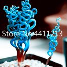 2000pcs Blue Spring Grass Rare Succulents Plant Funny Seed Planting Potted Plants for Home Garden Su