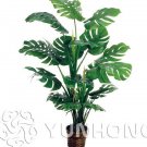 100pcs Philodendron Bonsai, Vine Leaf, Indoor Plants Anti Radiation Absorb dust Tree Bonsai Promotio