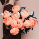 Hot Sale 10 Pcs Peony Flower Bonsai Garden and Potted Plants Paeonia Suffruticosa Tree, Peony Root F