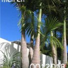 10 Pcs/Bag Bottle Palm Flores Exotic Plants Tree Home Garden Balcony Seed Pots Beautiful Tropical Or