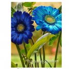100Pcs/bag Gerbera Daisy Bonsai New Hybrids, Mixed Flower Pot Bonsai Plants Easy to Grow for Jardin,
