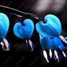 100 pcs/Bag Dicentra Spectabilis Seeds Bleeding Heart Classic Cottage Garden Plant, Heart-Shaped Flo