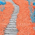 Rainbow Creeping Thyme Plants Blue Rock CRESS Plants - Perennial Ground Cover Flower,Natural Growth 