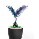 10PCS MiNI Blue Sago Cycas Bonsai Revolute Plant Bonsai SeedsItem NO.: SH920Q