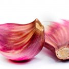 Multi-petals Garlic Seeds Organic Seed Red Healthy VegetablesItem NO.: CO-1559 Multi-petals Garlic Seeds Organic Seed Red Healthy VegetablesItem NO.: CO-1559