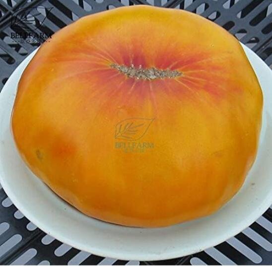 Hawaiian Pineapple Big Orange Red Tomato SeedsItem NO.: CO-1457