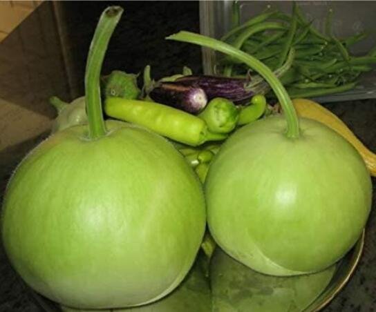 100PCS Asian Vegetable Calabash Round Edible Bottle GourdItem NO.: SH10193C