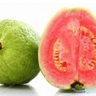 100PCS Guava SeedsItem NO.: SH10306C