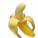100PCS Dwarf Banana SeedsItem NO.: SH10365C