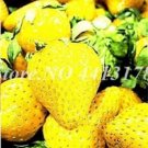 300PCS Giant Strawberry Seeds - Yellow ColorItem NO.: SH10555C