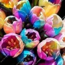100PCS Tulips Seeds - Colorful FlowersItem NO.: SH10562C
