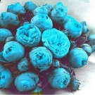 10PCS Paeonia Lactiflora Seeds - Sky Blue Double FlowersItem NO.: SH10574C