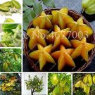 50PCS Carambola Seeds - 2 Types AvailableItem NO.: SH10602C