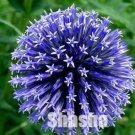100PCS Giant Allium Giganteum Seeds - 2 Colors AvailableItem NO.: SH10671C