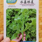 100PCS / 3000PCS Ice Plant Seeds Edible Plant mesembryanthemum crystallinum VegetablesItem NO.: SH10