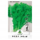 2000pcs Garland Chrysanthemum Seeds Tong Ho edible Chrysanthemum coronarium Asia VegItem NO.: SH1079 2000pcs Garland Chrysanthemum Seeds Tong Ho edible Chrysanthemum coronarium Asia VegItem NO.: SH1079