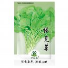 2000pcs Green Amaranth Seeds Chinese Spinach Green Edible VegetableItem NO.: SH10805C