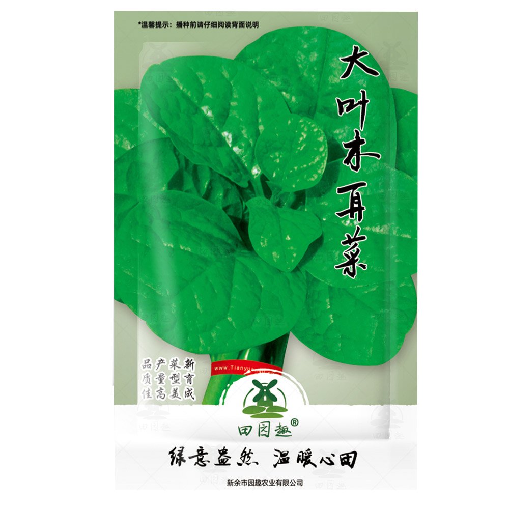 100pcs Ceylon Spinach   Malabar Spinach Green, Asian Climbing SpinachItem NO.: SH10814C
