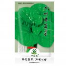 100pcs Ceylon Spinach   Malabar Spinach Green, Asian Climbing SpinachItem NO.: SH10814C