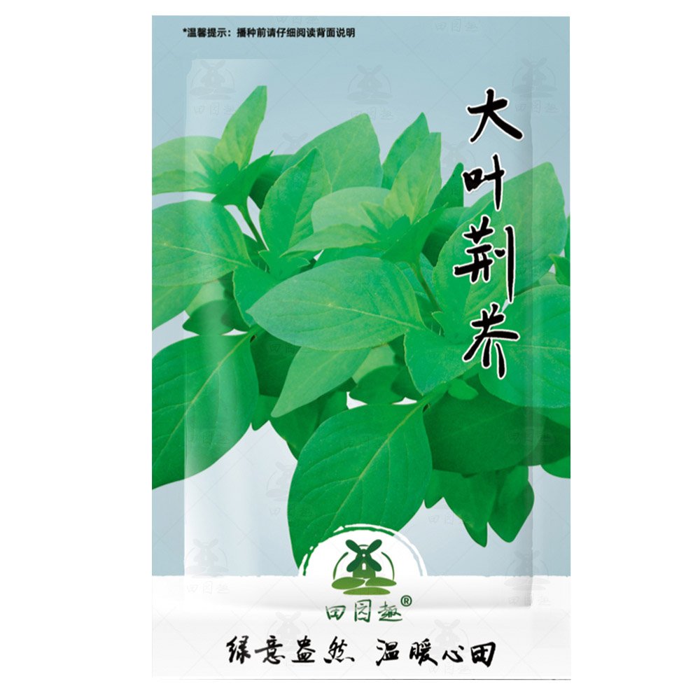 4000pcs Nepeta cataria   Camelina sativa, Camelina sativa, Artemisia SPPItem NO.: SH10819C